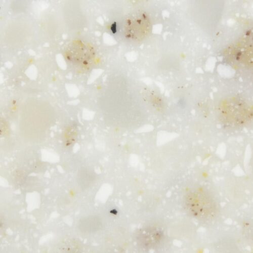 TO 310 Quarry Oyster jpg