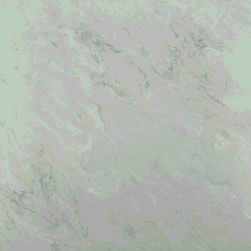 CASTOR 1 png